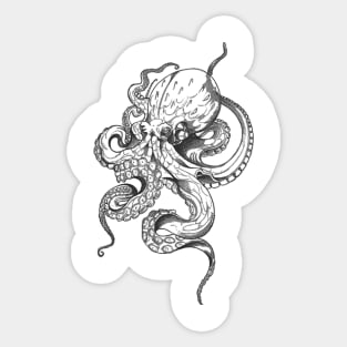 octopus  squid camouflage crab cephalopod jellyfish mollusc Sticker